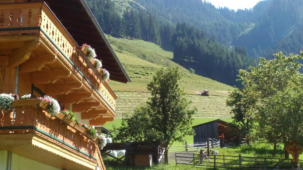 Apartmán Biobergbauernhof Brandenau Taxenbach Exteriér fotografie