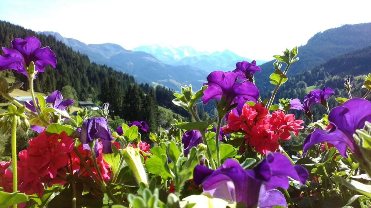Apartmán Biobergbauernhof Brandenau Taxenbach Exteriér fotografie